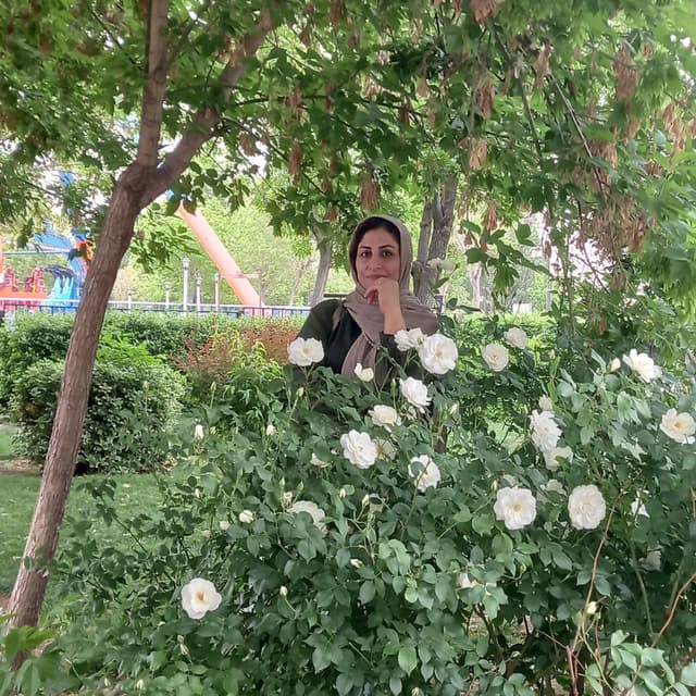 پریسا کریمی